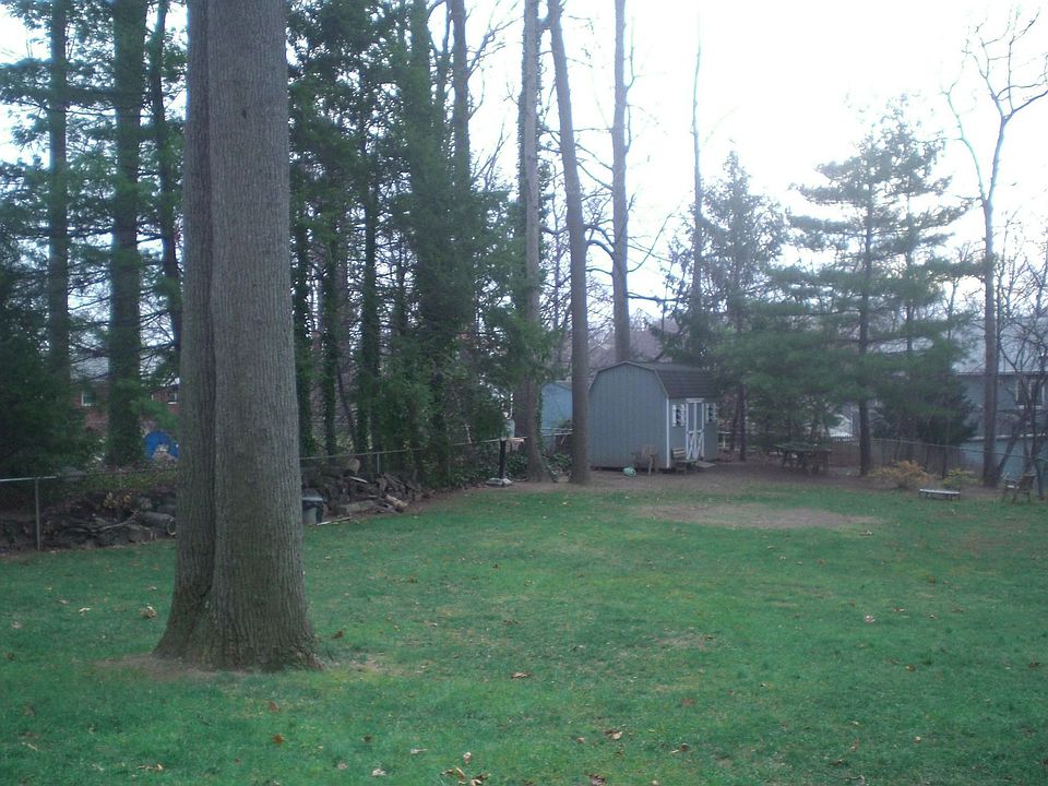expansive wooded lot