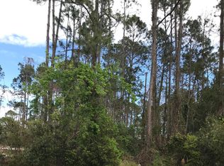 295 Beachway Dr, Palm Coast, FL 32137