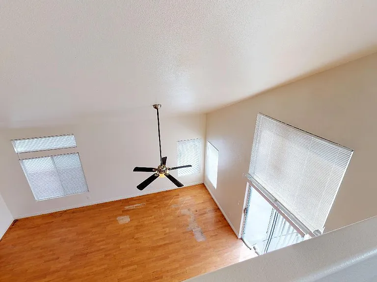 10005 Mystic Dance St — Photo 29