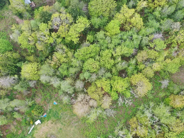 NE Mardell Ct Lot 11, Bainbridge Island, WA 98110