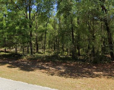 0 SW 102nd Street Rd Lot 23, Dunnellon, FL, 34432