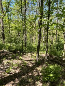 1305 Robert E Lee Ln, Brentwood, TN, 37027