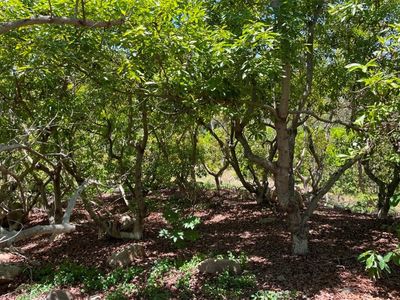 1 Vista Del Mar LOT 1, Temecula, CA, 92590