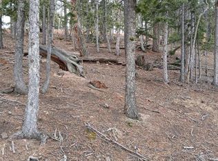 495 Wakanda Trl, Woodland Park, CO 80863