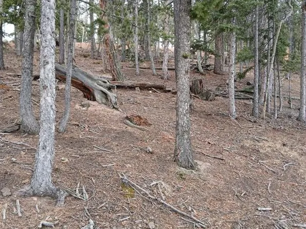 495 Wakanda Trl, Woodland Park, CO 80863