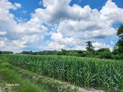 TBD Fairlane Rd., Loris, SC, 29569