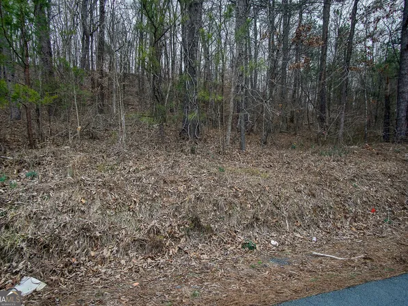 0 Moores Ferry Rd SW, Plainville, GA 30733