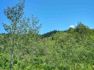 59 Road, Collbran, CO 81624