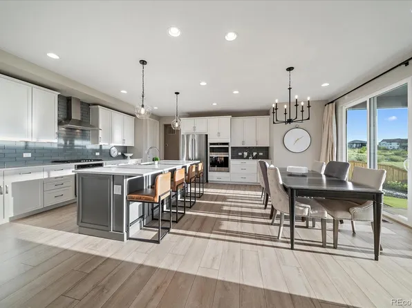 14365 Shasta Daisy Point, Parker, CO 80134
