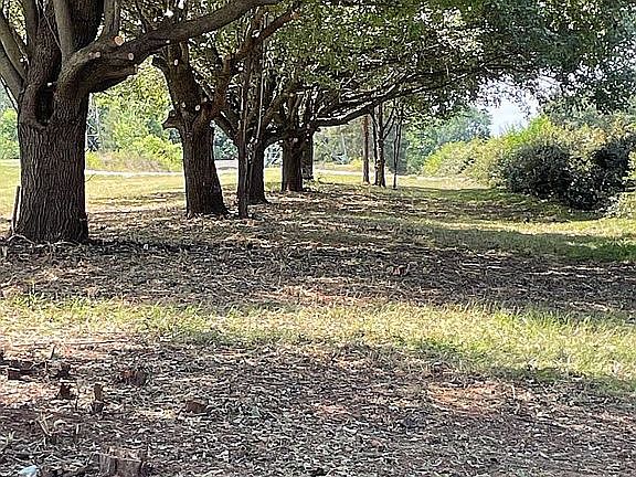 3rd image of 0 Kelly Spring Rd