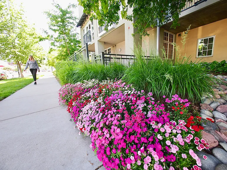 Great Hoa that takes good care of the building!