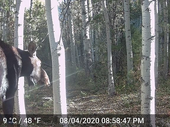 4th image of Nhn Lost Creek Rd