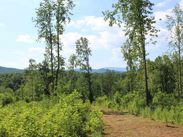 Starvale Ln, Shipman, VA 22971