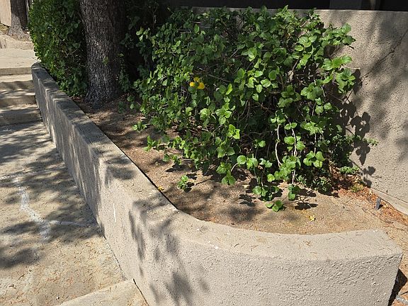 2024-10-07-12-07-12_10082024