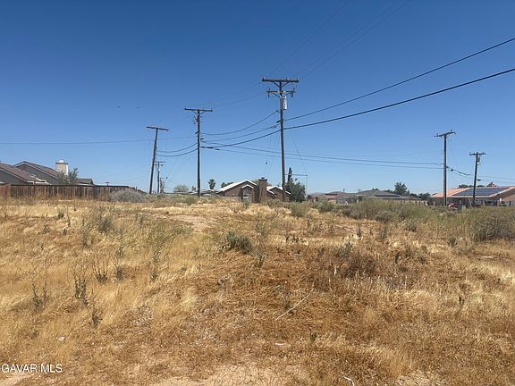 4th image of Lime Ave