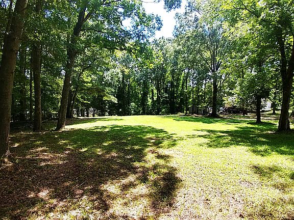 Lovely backyard area!