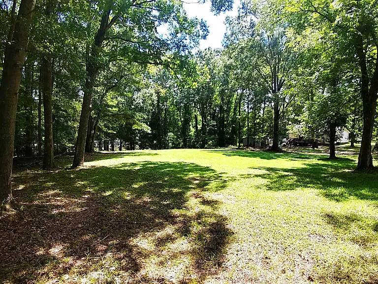 Lovely backyard area!