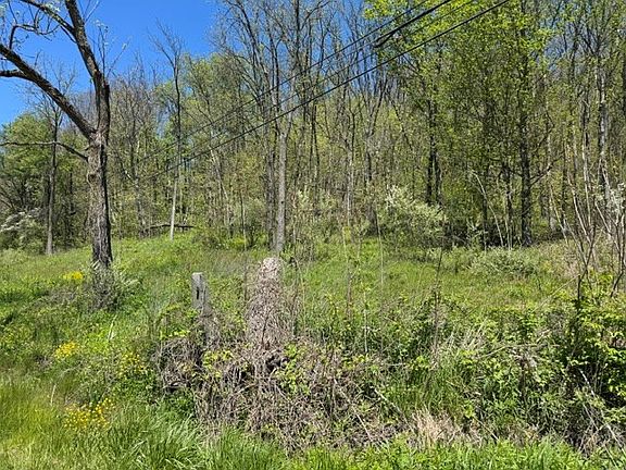 2nd image of 0 Sheshequin Rd