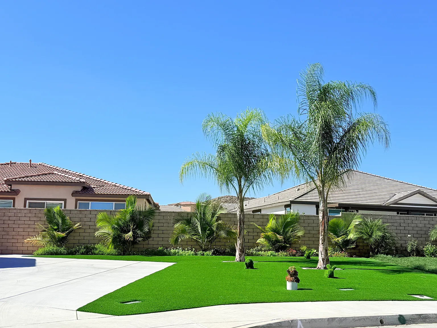 1 bed, 550 sqft, $1,999 — Photo 2