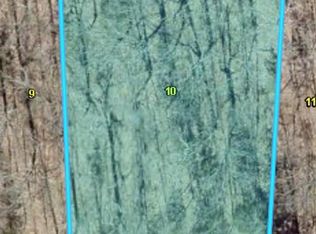 LOT 118 & 119 Apache Ln, Rocky Mount, MO 65072
