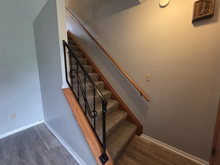 542 Maple Tree Ln — Photo 6