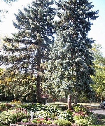 4th image of 601 Lake Hinsdale Dr APT 406