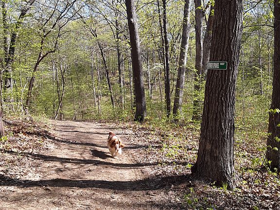 One of many of our trails 