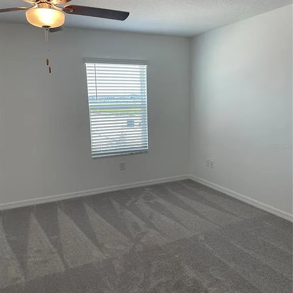 32077 Powderpuff Mimosa Dr — Photo 28