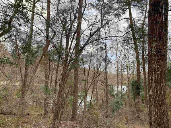 0 Mon Dye Rd #10, Phil Campbell, AL 35581