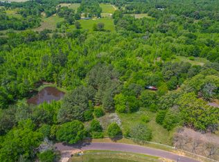 896 County Road 4430 LOT WP001, Winnsboro, TX 75494