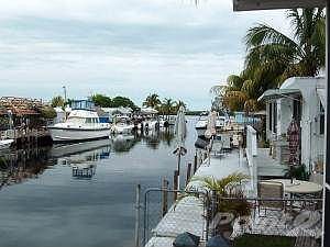View from Dock