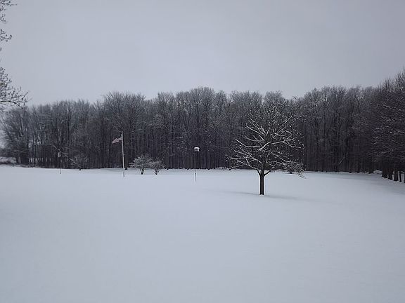 Winter back yard 5.5 acres