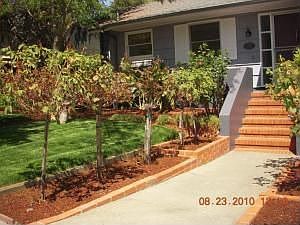 1st image of 1027 Alameda De Las Pulgas