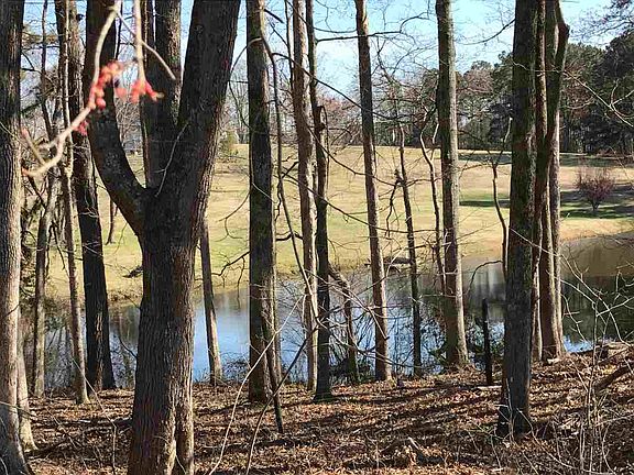 4th image of 54 Mountain Laurel Pl Lot 54