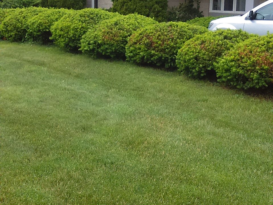 1st image of 21620 Meadow Ln