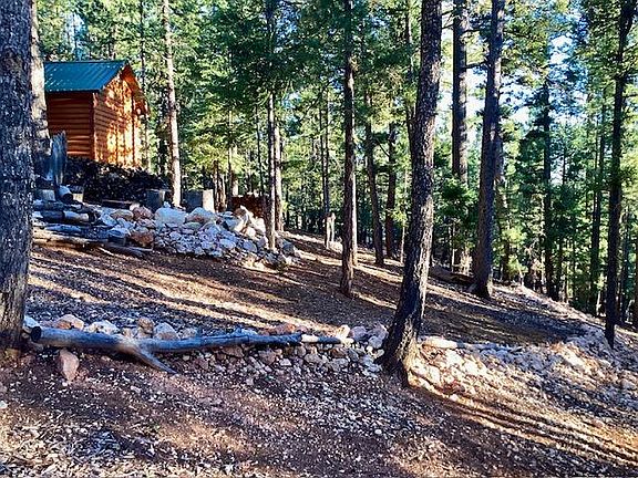 2nd image of 1345 Ponderosa Dr
