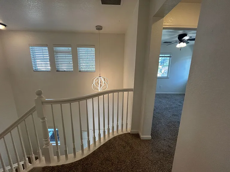 3293 Dewar Ln — Photo 12