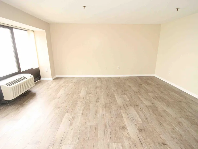 1001 W Jefferson Ave #300/29D — Photo 3