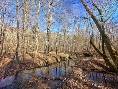 0 Indian Creek Rd, Hohenwald, TN, 38462