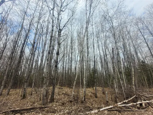 On Broken Arrow Road, Holcombe, WI 54745