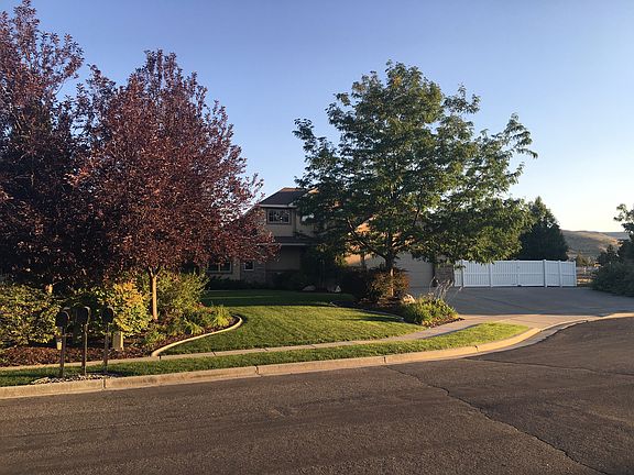 Front Yard