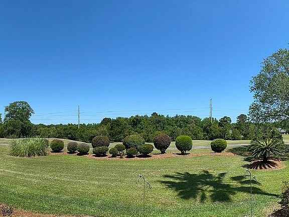5th image of 12 Purple Martin Ln