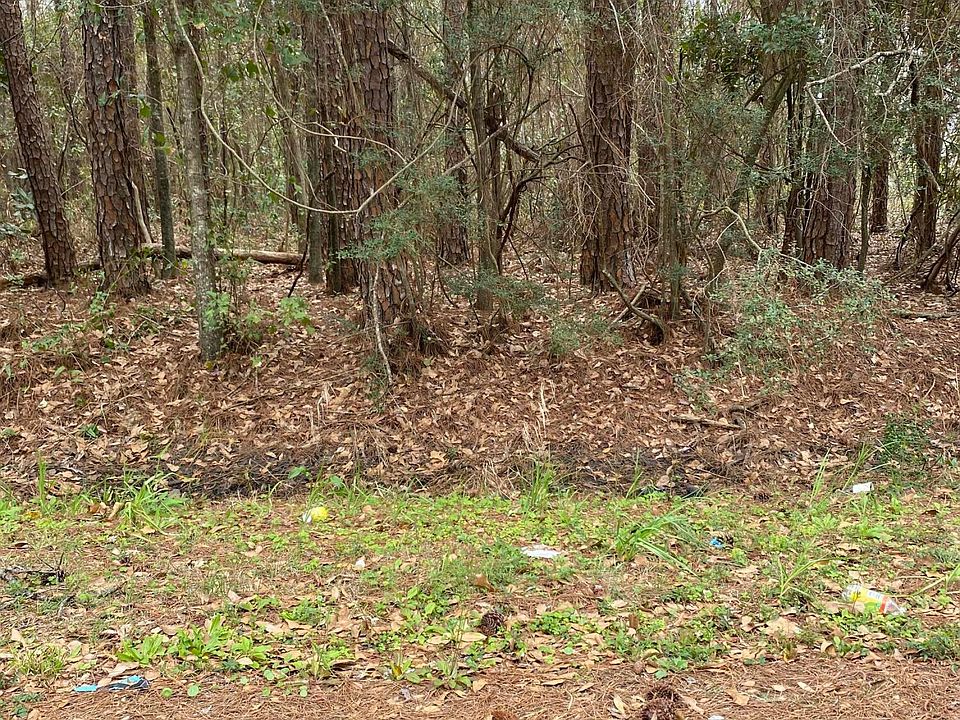 1st image of 40 Avenue