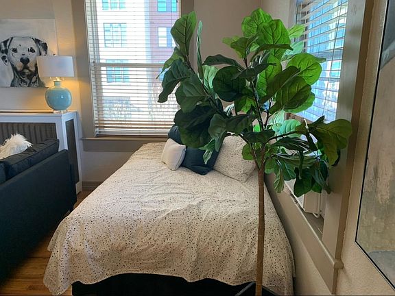 5th image of 1650 N Pearl St APT 18