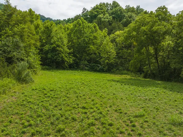 War Creek Rd, Eidson, TN 37731
