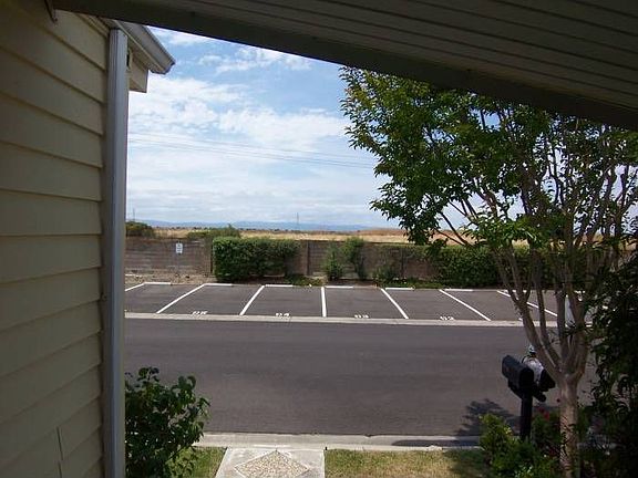 Guest parking & marsh