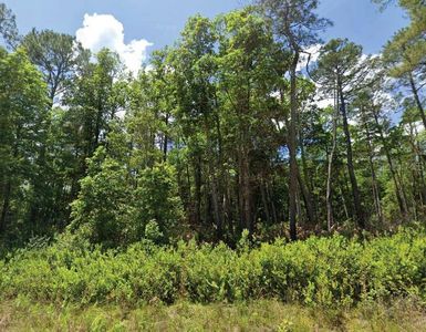 101 & 103 LONGHORN LANE LOT 1, 2, Florahome, FL, 32140