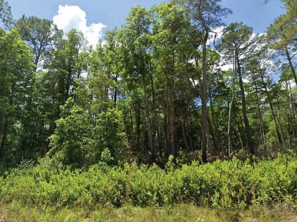 101 & 103 Longhorn Ln Lot 1-2, Florahome, FL 32140