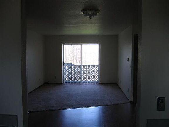 IMG_2775 (Medium)