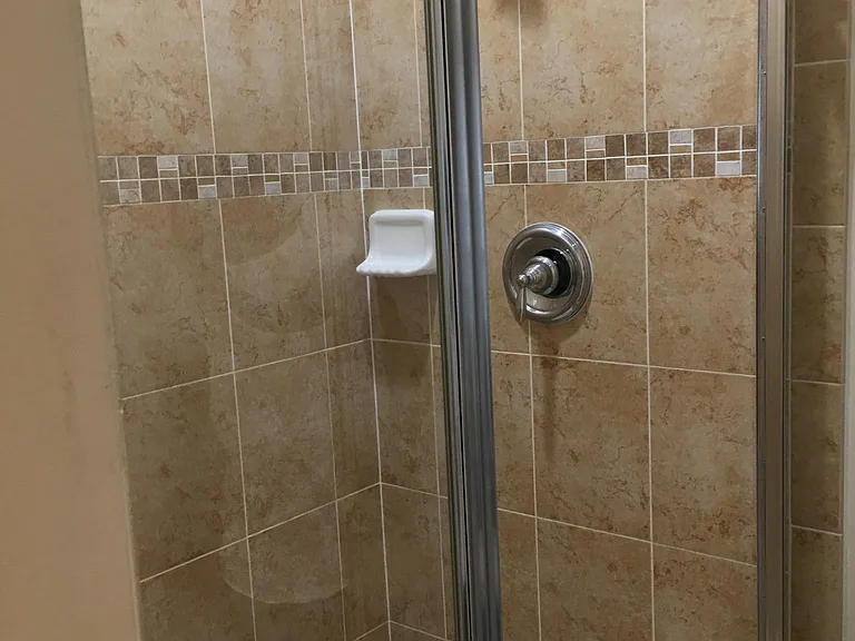 Master Bathroom Shower